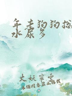 年老狗狗总是喝水尿多