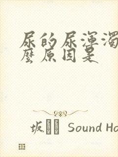 尿的尿浑浊是什么原因是