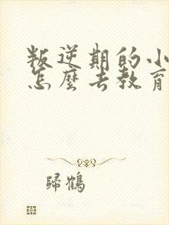 叛逆期的小孩子怎么去教育方法