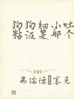 狗狗细小吐白色粘液是哪个阶段