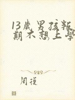 13岁男孩叛逆期不想上学怎么办