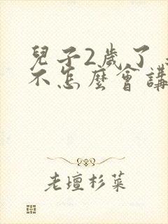 儿子2岁了 还不怎么会讲话怎么回事