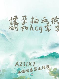 怀孕抽血检查孕酮和hcg需要空腹吗