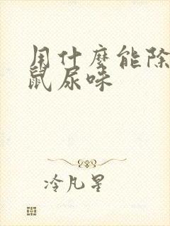 用什么能除掉老鼠尿味