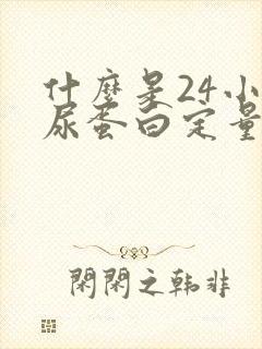 什么是24小时尿蛋白定量检查