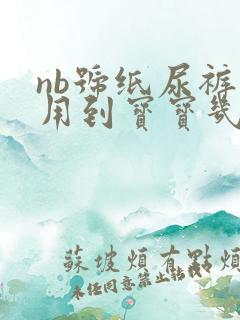 nb号纸尿裤能用到宝宝几个月