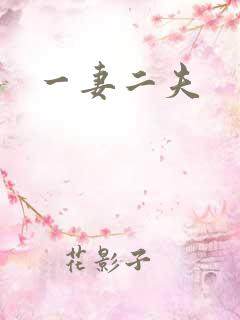 一妻二夫