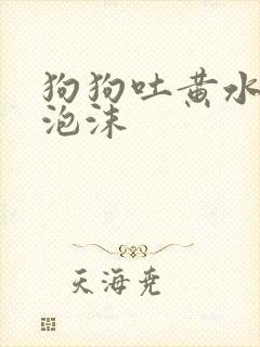 狗狗吐黄水带点泡沫