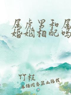 属虎男和属龙女婚姻相配吗