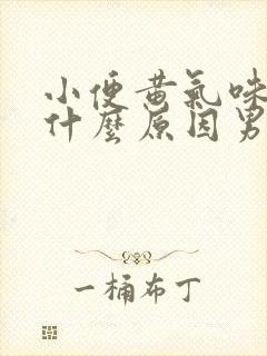 小便黄气味重是什么原因男性