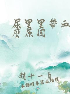 尿里里带血是什么原因