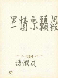 男性龟头周围长一圈小颗粒