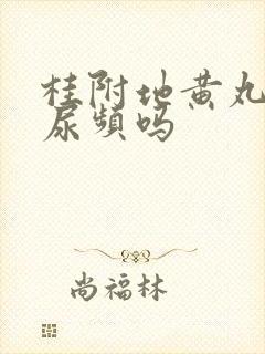 桂附地黄丸治疗尿频吗