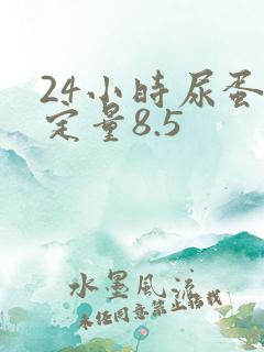 24小时尿蛋白定量8.5