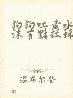 狗狗吐黄水带泡沫有点拉稀怎么办