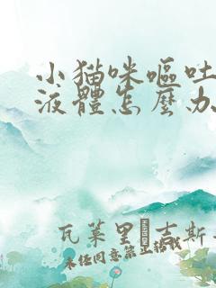 小猫咪呕吐黄色液体怎么办