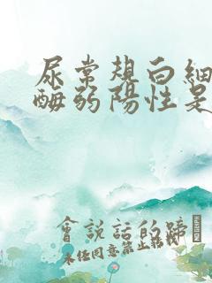 尿常规白细胞酯酶弱阳性是什么意思