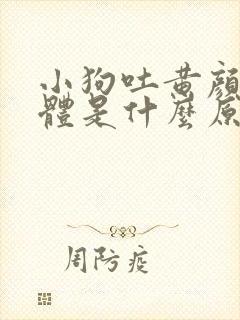 小狗吐黄颜色液体是什么原因