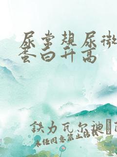 尿常规尿微量白蛋白升高