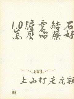 1.0胆囊结石怎么治疗好