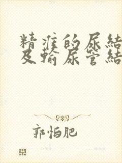 精准的尿结石以及输尿管结石诊疗服务