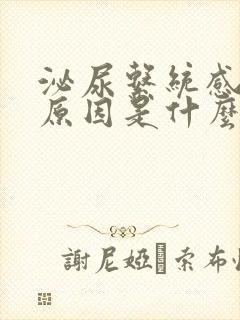 泌尿系统感染的原因是什么