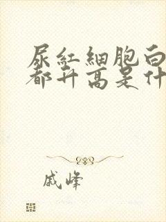 尿红细胞白细胞都升高是什么意思