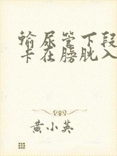 输尿管下段结石卡在膀胱入口