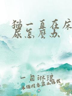 猫一直在床上拉尿怎么办