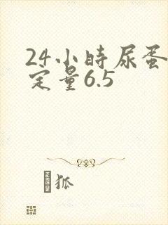 24小时尿蛋白定量6.5