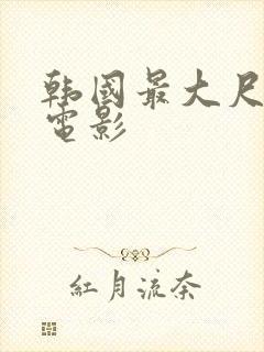 韩国最大尺度的电影