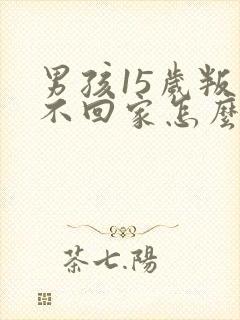 男孩15岁叛逆不回家怎么办