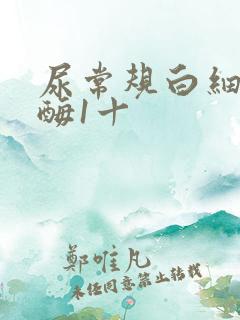 尿常规白细胞酯酶1十