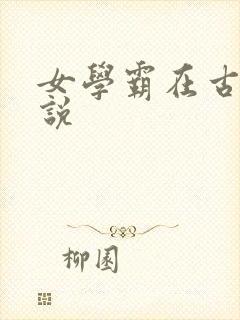 女学霸在古代小说