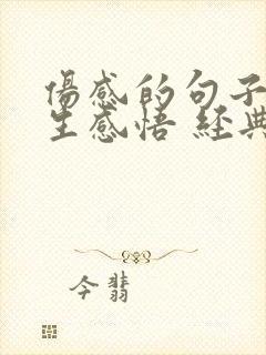 伤感的句子带人生感悟 经典语录