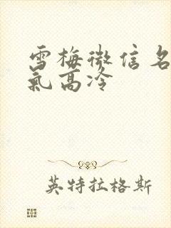 雪梅微信名女霸气高冷