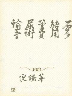 输尿管结石软镜手术费用多少