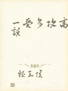 一受多攻高h小说