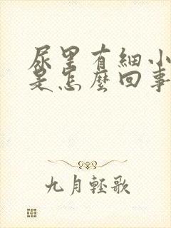 尿里有细小泡沫是怎么回事