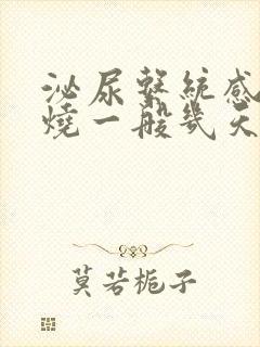 泌尿系统感染发烧一般几天能退烧