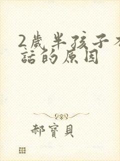 2岁半孩子不说话的原因