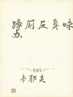 蹲厕反臭味怎么办