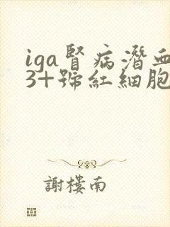 iga肾病潜血3+号红细胞高怎么治