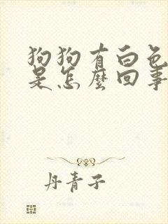 狗狗有白色眼屎是怎么回事