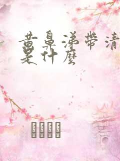 黄鼻涕带清鼻涕是什么