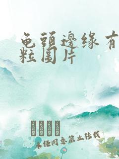 龟头边缘有小肉粒图片