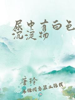 尿中有白色絮状沉淀物