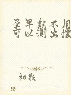 孕早期不用晨尿可以测出怀孕不