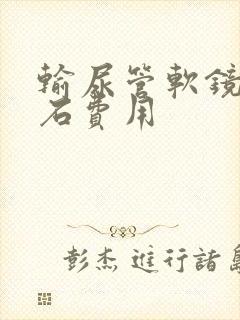 输尿管软镜碎结石费用