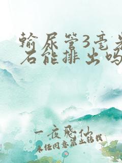 输尿管3毫米结石能排出吗